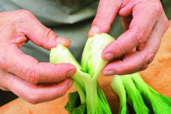 走,跟着这位30年日本蔬果店老板,去感受一场“风味人间” 走,跟着这位30年日本蔬果店老板,去感受一场“风味人间”