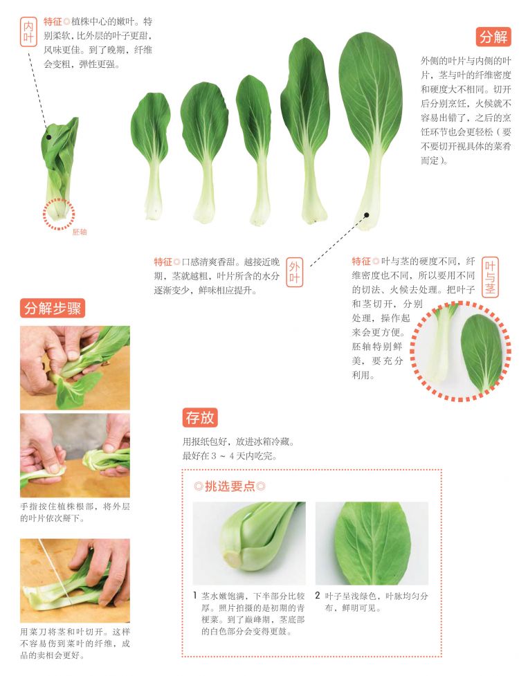 走,跟着这位30年日本蔬果店老板,去感受一场“风味人间” 走,跟着这位30年日本蔬果店老板,去感受一场“风味人间”