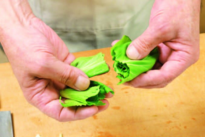 走,跟着这位30年日本蔬果店老板,去感受一场“风味人间” 走,跟着这位30年日本蔬果店老板,去感受一场“风味人间”