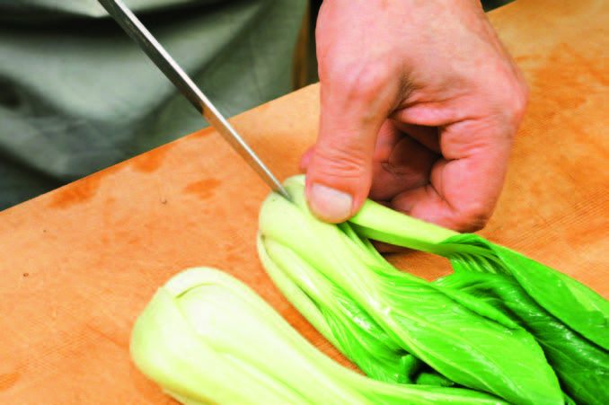 走,跟着这位30年日本蔬果店老板,去感受一场“风味人间” 走,跟着这位30年日本蔬果店老板,去感受一场“风味人间”