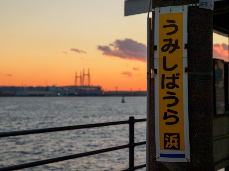 《能看见海的车站》神奈川篇：镰仓高校前站、目白山下站、根府川站、....