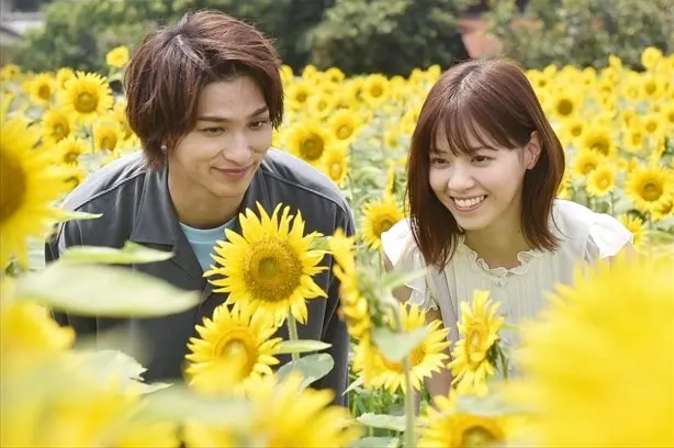 《轮到你了》大结局引热议,大胆推测一波最后轮椅背后的故事 《轮到你了》大结局引热议,大胆推测一波最后轮椅背后的故事