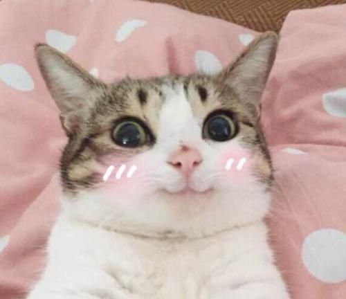 聊天时日本人那些会让外国人感觉“不爽”的行为 聊天时日本人那些会让外国人感觉“不爽”的行为