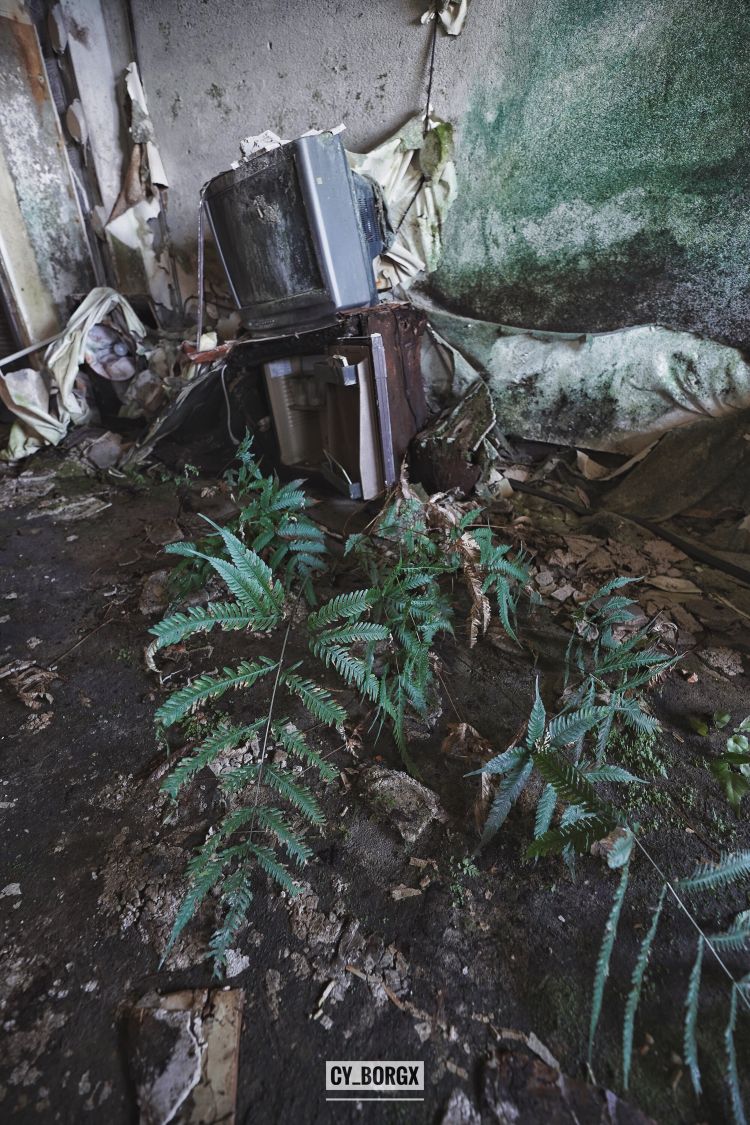 「废墟探索」日本最大废弃饭店:八丈皇家酒店 「废墟探索」日本最大废弃饭店:八丈皇家酒店