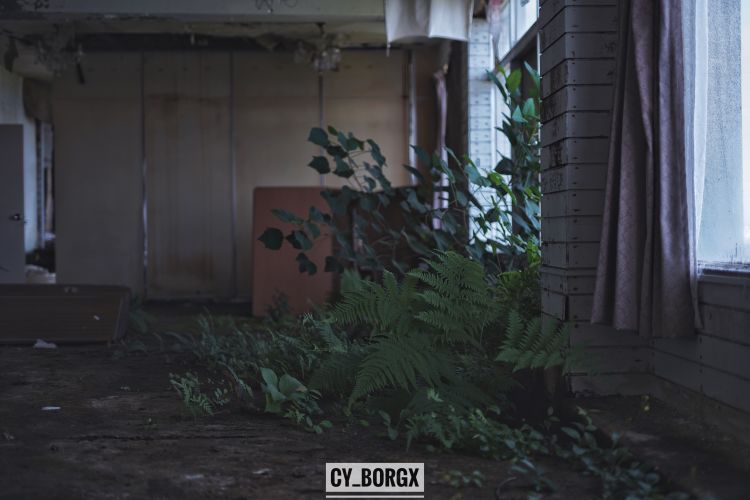 「废墟探索」日本最大废弃饭店:八丈皇家酒店 「废墟探索」日本最大废弃饭店:八丈皇家酒店