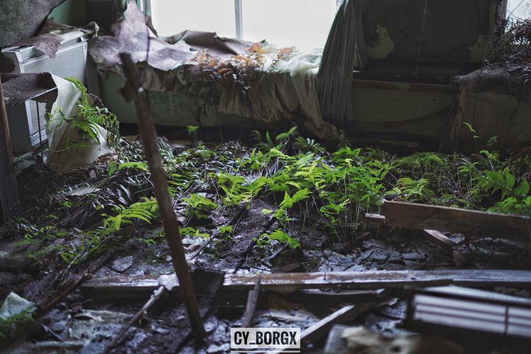 「废墟探索」日本最大废弃饭店:八丈皇家酒店 「废墟探索」日本最大废弃饭店:八丈皇家酒店