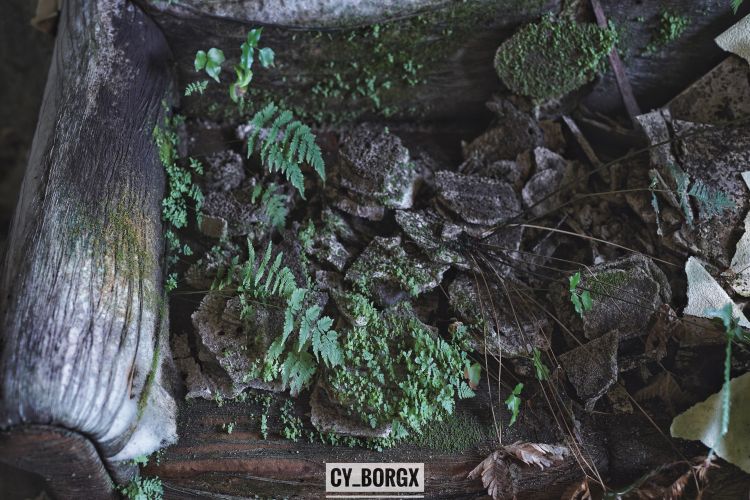 「废墟探索」日本最大废弃饭店:八丈皇家酒店 「废墟探索」日本最大废弃饭店:八丈皇家酒店