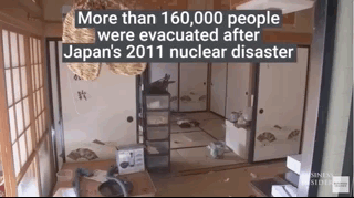 最近的岛国人，又惨又有点好笑