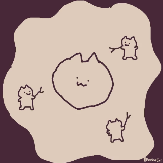 这只沙雕猫的动图，我能看一天！