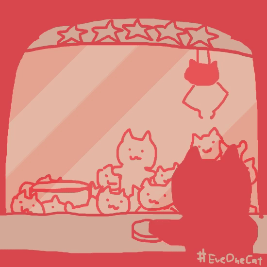 这只沙雕猫的动图，我能看一天！