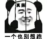 日本人发现了长在蟑螂身上的「冬虫夏草」 日本人发现了长在蟑螂身上的「冬虫夏草」