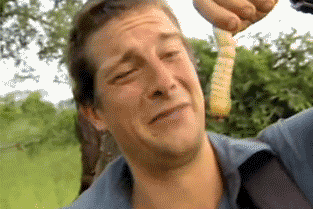 日本人发现了长在蟑螂身上的「冬虫夏草」 日本人发现了长在蟑螂身上的「冬虫夏草」