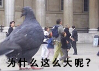 日本微缩模型大佬6个月神还原儿时房间,空调书桌还没有手指大 日本微缩模型大佬6个月神还原儿时房间,空调书桌还没有手指大