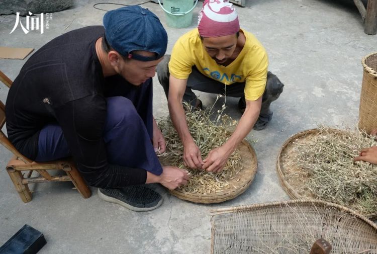 在中国种地的日本嬉皮 在中国种地的日本嬉皮