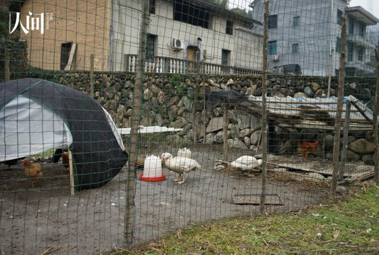 在中国种地的日本嬉皮 在中国种地的日本嬉皮