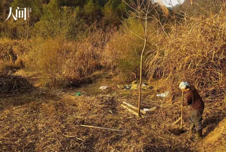 在中国种地的日本嬉皮 在中国种地的日本嬉皮