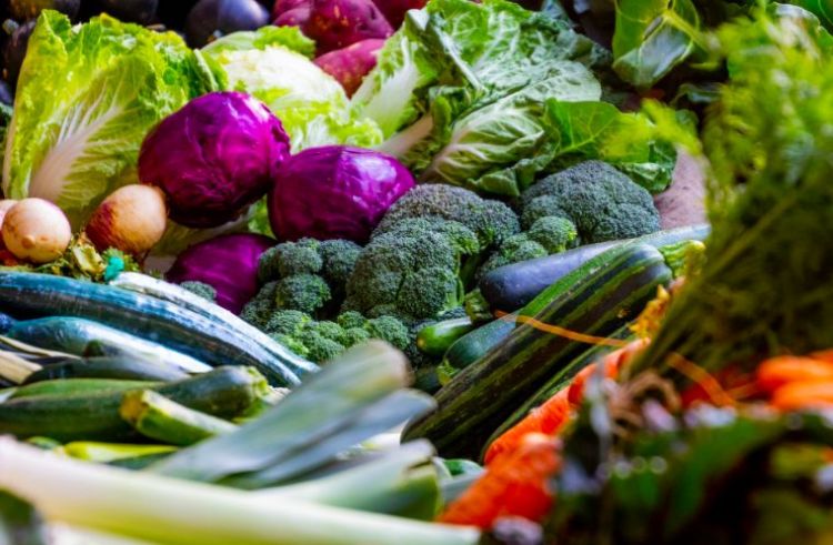 关于减肥,世界上最瘦的日本人有秘籍 关于减肥,世界上最瘦的日本人有秘籍