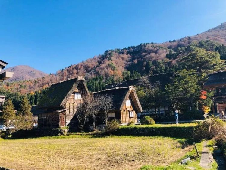 我,90后日本人:在中国参加好声音,吃毛血旺,还娶了中国姑娘... 我,90后日本人:在中国参加好声音,吃毛血旺,还娶了中国姑娘...