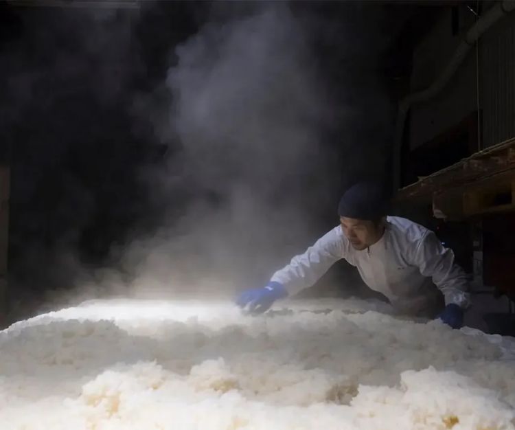 走进酒造直营餐厅,探索舌尖上的日本酒造新境界 走进酒造直营餐厅,探索舌尖上的日本酒造新境界