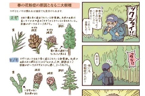 浪漫樱花背后的日本“国民病”