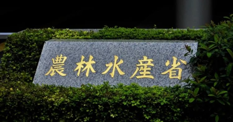 官二代农业大臣一句“我从来没买过米，别人送的多到爆”把日本人整破防了