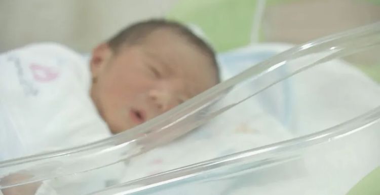 第240期：日本将征单身税？宫野真守加入研音；日本24年新生儿不足70万；《海女》NON桥本爱再聚首 | 百通板