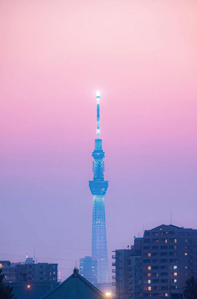 第240期：日本将征单身税？宫野真守加入研音；日本24年新生儿不足70万；《海女》NON桥本爱再聚首 | 百通板