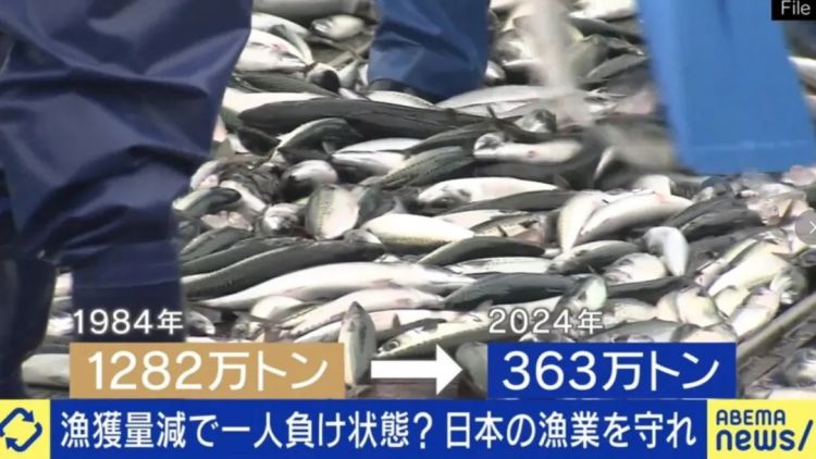 第250期：福山雅治涉性丑闻？日本青少年药物成瘾泛滥；LISA与坂口健太郎亲密照争议？前田敦子回归AKB？| 百通板