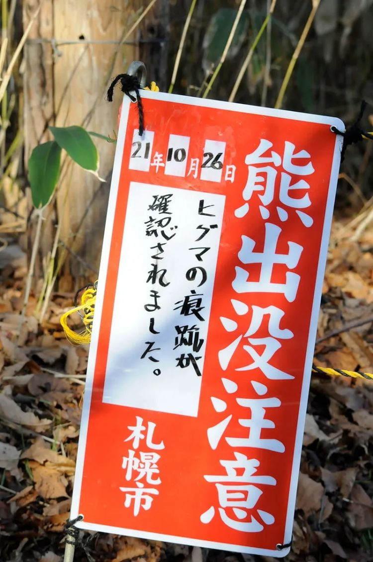 为什么最近日本“大量熊出没”? 为什么最近日本“大量熊出没”?