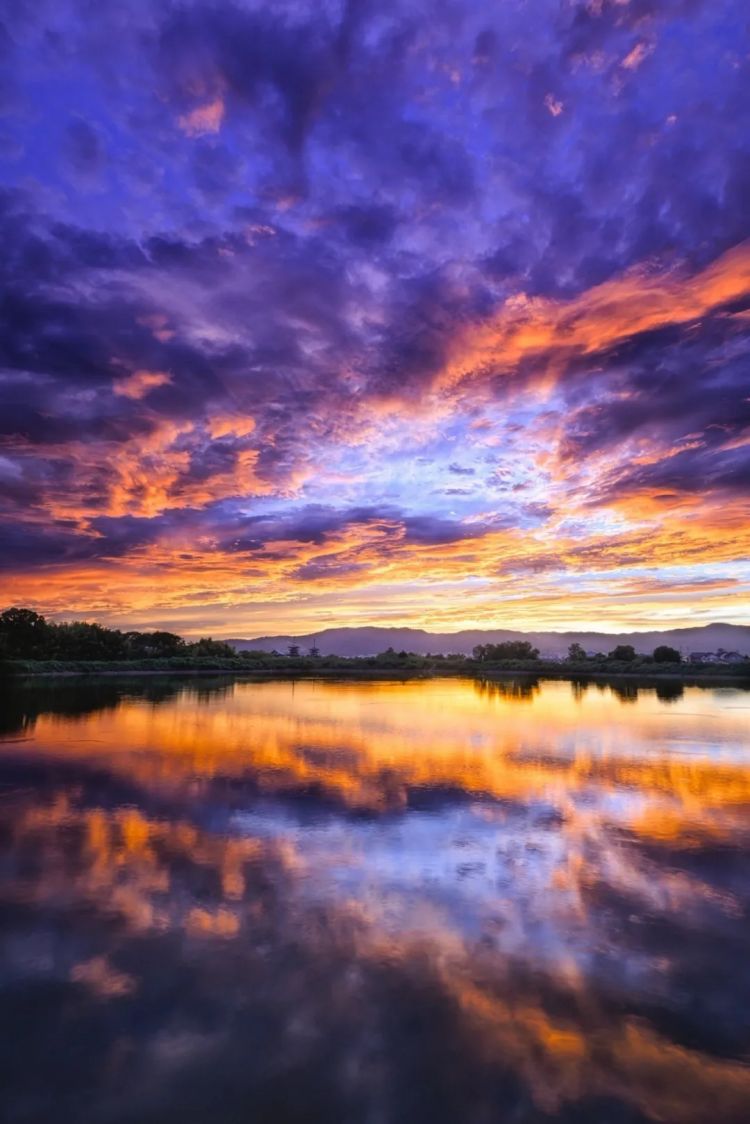 第251期:日本人在台举中国国旗?滨寿司再现食品安全问题;知名动画抄袭X JAPAN?usj联动世博 | 百通板 第251期:日本人在台举中国国旗?滨寿司再现食品安全问题;知名动画抄袭X JAPAN?usj联动世博 | 百通板