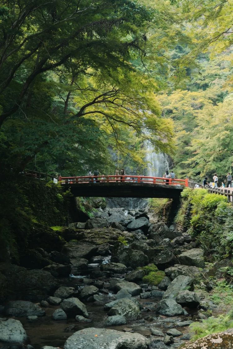 第252期:日本出生人口再创新低;鸠山由纪夫出席九三阅兵;极乐净土组合解散?二宫和也《8号出口》确认引进 | 百通板 第252期:日本出生人口再创新低;鸠山由纪夫出席九三阅兵;极乐净土组合解散?二宫和也《8号出口》确认引进 | 百通板