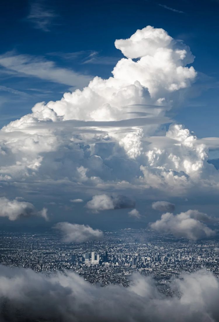 第252期:日本出生人口再创新低;鸠山由纪夫出席九三阅兵;极乐净土组合解散?二宫和也《8号出口》确认引进 | 百通板 第252期:日本出生人口再创新低;鸠山由纪夫出席九三阅兵;极乐净土组合解散?二宫和也《8号出口》确认引进 | 百通板