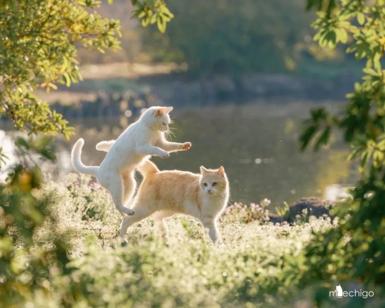 第252期:日本出生人口再创新低;鸠山由纪夫出席九三阅兵;极乐净土组合解散?二宫和也《8号出口》确认引进 | 百通板 第252期:日本出生人口再创新低;鸠山由纪夫出席九三阅兵;极乐净土组合解散?二宫和也《8号出口》确认引进 | 百通板