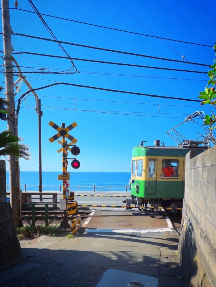 第252期:日本出生人口再创新低;鸠山由纪夫出席九三阅兵;极乐净土组合解散?二宫和也《8号出口》确认引进 | 百通板 第252期:日本出生人口再创新低;鸠山由纪夫出席九三阅兵;极乐净土组合解散?二宫和也《8号出口》确认引进 | 百通板