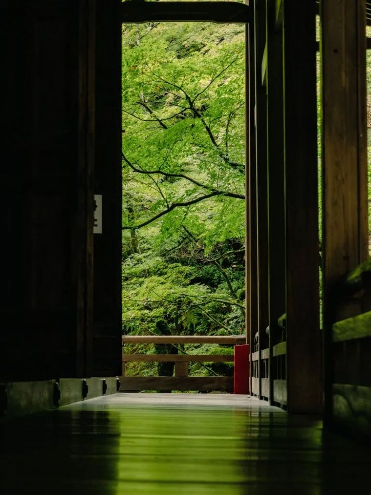 第252期:日本出生人口再创新低;鸠山由纪夫出席九三阅兵;极乐净土组合解散?二宫和也《8号出口》确认引进 | 百通板 第252期:日本出生人口再创新低;鸠山由纪夫出席九三阅兵;极乐净土组合解散?二宫和也《8号出口》确认引进 | 百通板