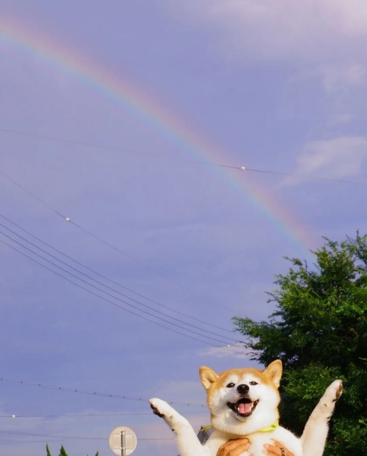 第252期:日本出生人口再创新低;鸠山由纪夫出席九三阅兵;极乐净土组合解散?二宫和也《8号出口》确认引进 | 百通板 第252期:日本出生人口再创新低;鸠山由纪夫出席九三阅兵;极乐净土组合解散?二宫和也《8号出口》确认引进 | 百通板