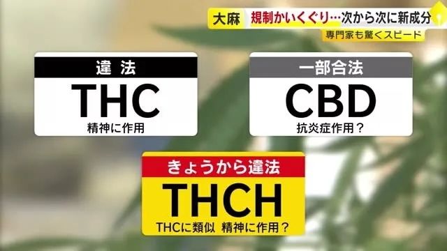 三得利会长竟购买毒品?日本网友辩护:“他被资本做局了!” 三得利会长竟购买毒品?日本网友辩护:“他被资本做局了!”