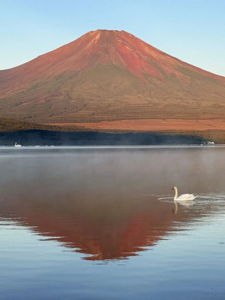第253期:永野芽郁插足坂口健太郎多角恋?石破茂辞职;悠仁亲王举行成年式;中国电视占据日本市场 | 百通板 第253期:永野芽郁插足坂口健太郎多角恋?石破茂辞职;悠仁亲王举行成年式;中国电视占据日本市场 | 百通板