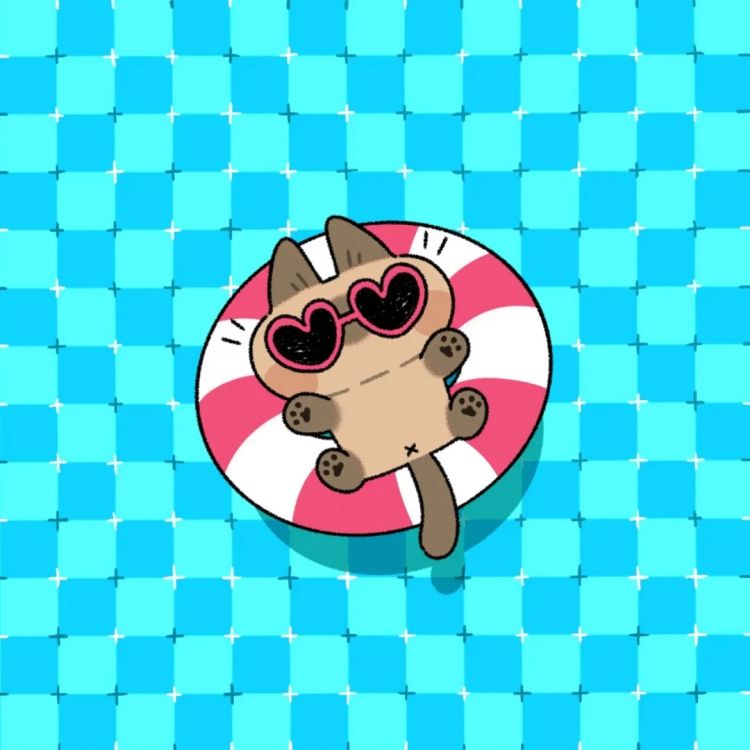 第253期:永野芽郁插足坂口健太郎多角恋?石破茂辞职;悠仁亲王举行成年式;中国电视占据日本市场 | 百通板 第253期:永野芽郁插足坂口健太郎多角恋?石破茂辞职;悠仁亲王举行成年式;中国电视占据日本市场 | 百通板