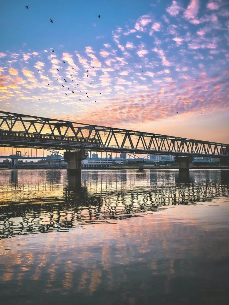 第253期:永野芽郁插足坂口健太郎多角恋?石破茂辞职;悠仁亲王举行成年式;中国电视占据日本市场 | 百通板 第253期:永野芽郁插足坂口健太郎多角恋?石破茂辞职;悠仁亲王举行成年式;中国电视占据日本市场 | 百通板