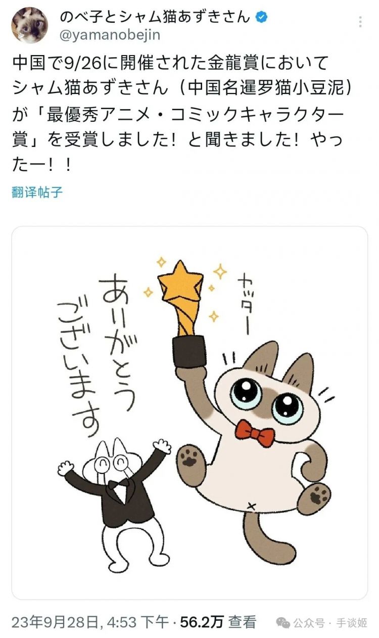 “暹罗猫小豆泥”去世 “暹罗猫小豆泥”去世