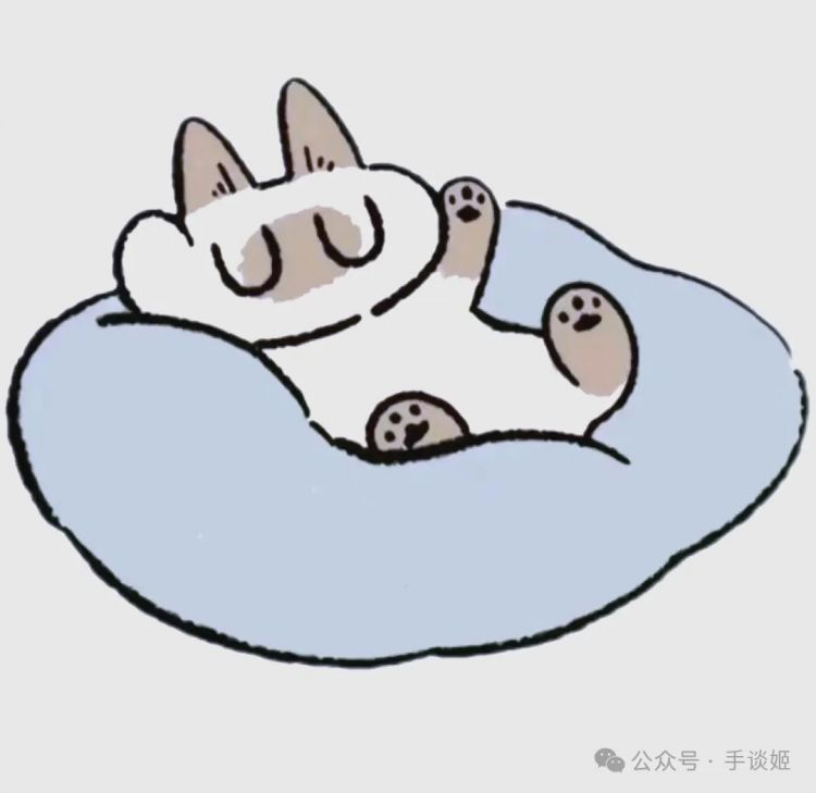 “暹罗猫小豆泥”去世 “暹罗猫小豆泥”去世