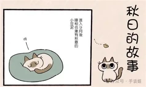 “暹罗猫小豆泥”去世 “暹罗猫小豆泥”去世