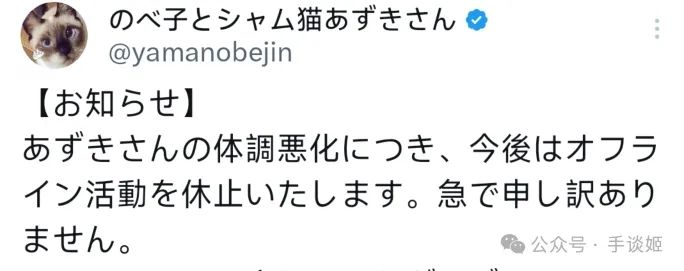 “暹罗猫小豆泥”去世 “暹罗猫小豆泥”去世