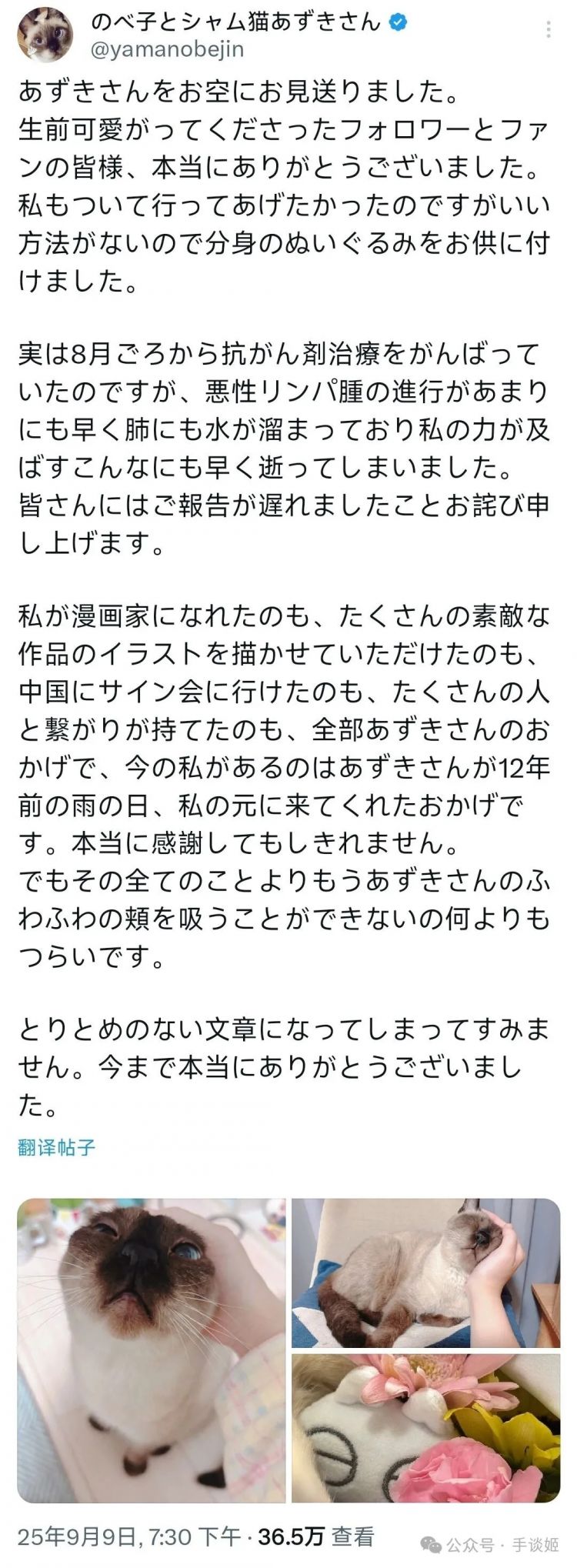 “暹罗猫小豆泥”去世 “暹罗猫小豆泥”去世