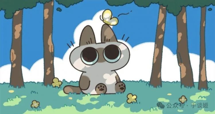 “暹罗猫小豆泥”去世 “暹罗猫小豆泥”去世