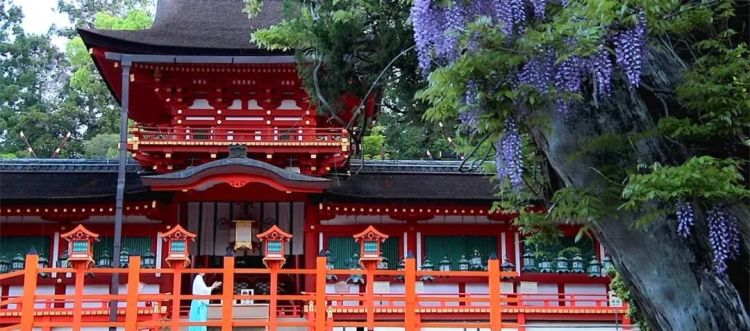 游客手一抖,千年古迹遭殃!奈良春日大社柱子上简体字“恩爱永远”,警方怒查 游客手一抖,千年古迹遭殃!奈良春日大社柱子上简体字“恩爱永远”,警方怒查