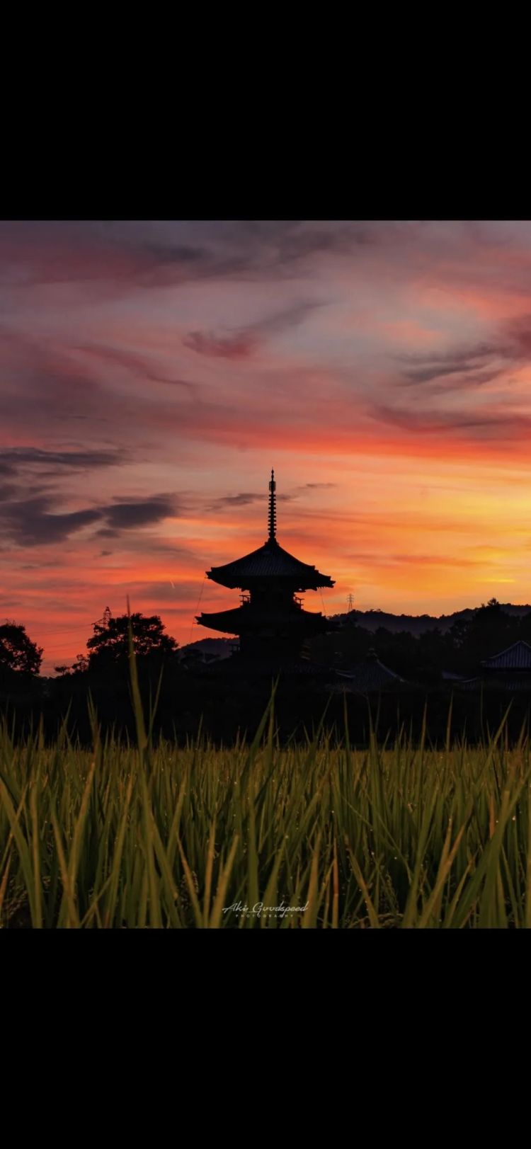 第254期:日本将整治排外言论?花泽香菜小野贤章离婚;中国患者被收三倍医疗费?日本成立AI战略部? | 百通板 第254期:日本将整治排外言论?花泽香菜小野贤章离婚;中国患者被收三倍医疗费?日本成立AI战略部? | 百通板