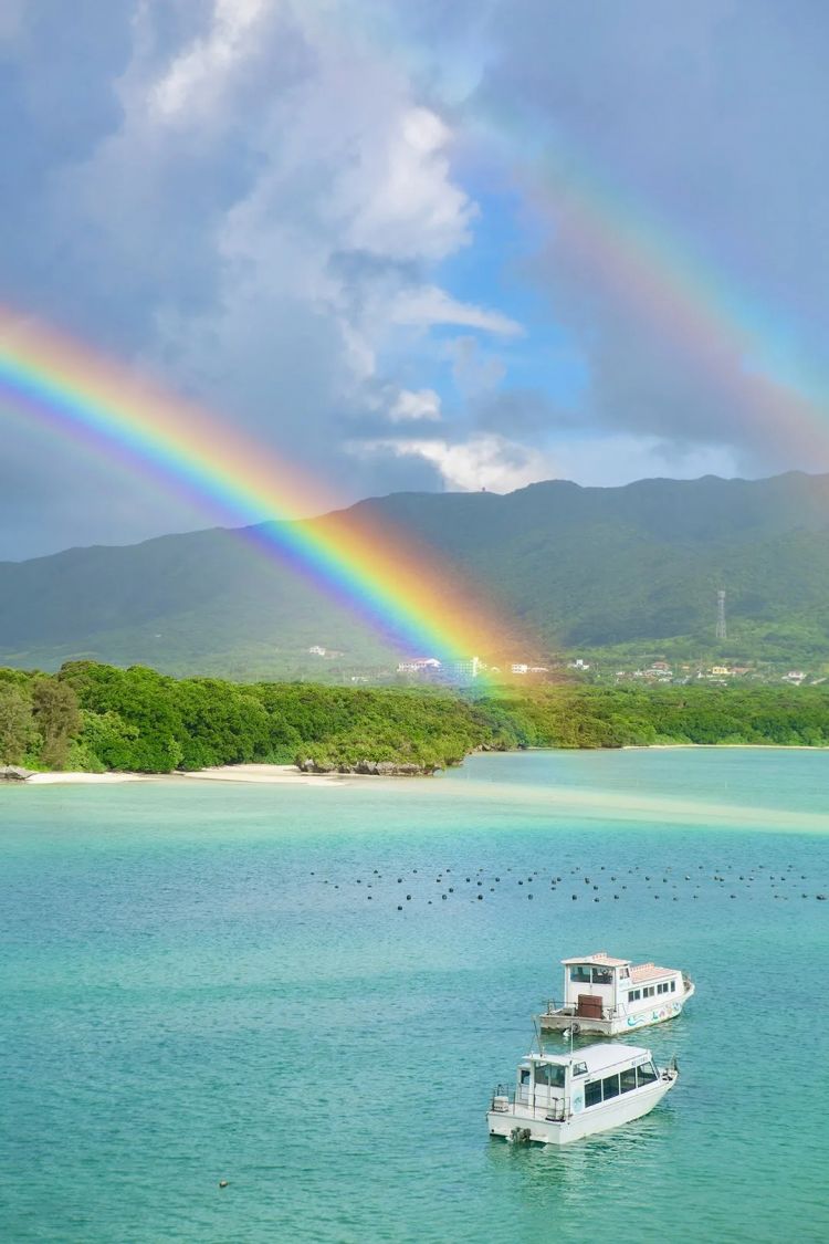 第254期:日本将整治排外言论?花泽香菜小野贤章离婚;中国患者被收三倍医疗费?日本成立AI战略部? | 百通板 第254期:日本将整治排外言论?花泽香菜小野贤章离婚;中国患者被收三倍医疗费?日本成立AI战略部? | 百通板