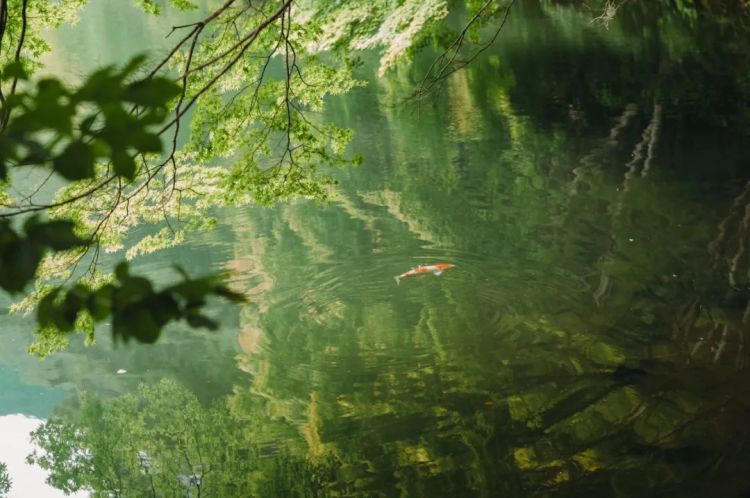 第254期:日本将整治排外言论?花泽香菜小野贤章离婚;中国患者被收三倍医疗费?日本成立AI战略部? | 百通板 第254期:日本将整治排外言论?花泽香菜小野贤章离婚;中国患者被收三倍医疗费?日本成立AI战略部? | 百通板